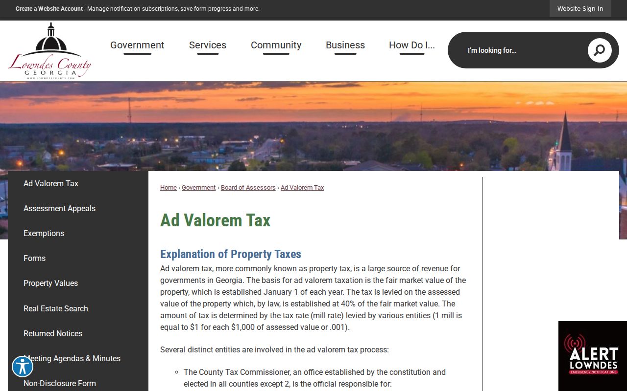 Lowndes County felony criminal court case access